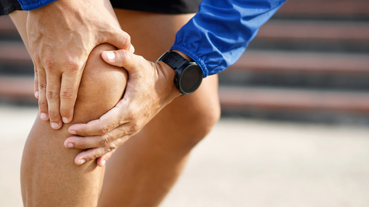 knee joint support