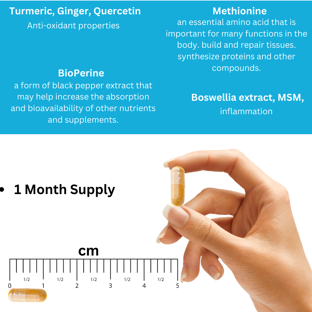 Max Joint Support